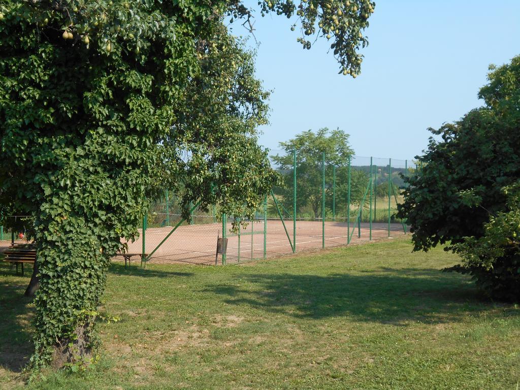Borostyankert Etterem & Vendeghaz Hotel Sitke Buitenkant foto