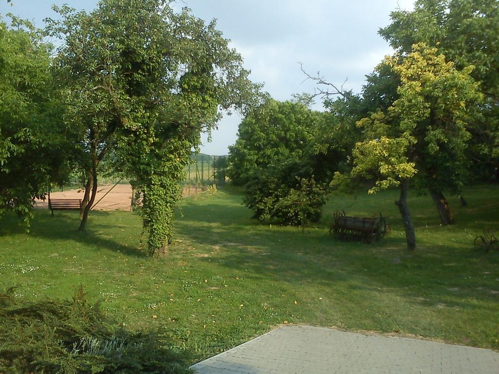 Borostyankert Etterem & Vendeghaz Hotel Sitke Buitenkant foto
